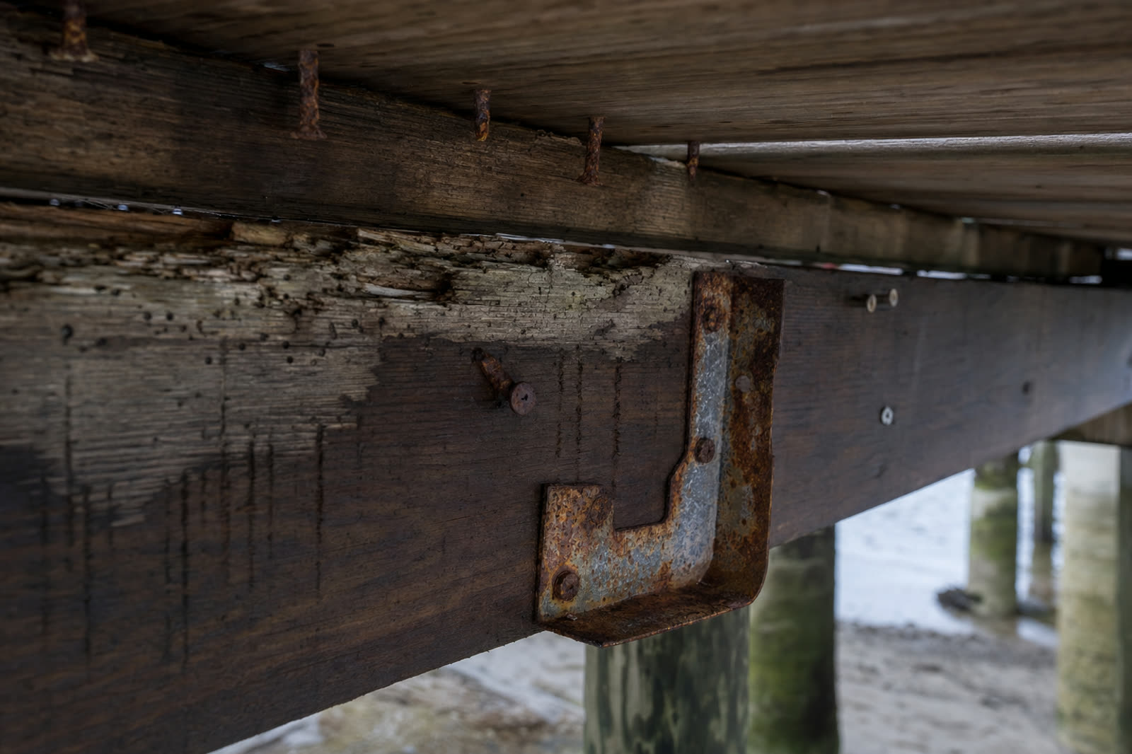 A rusted joist hanger and corroded fasteners on a damp, rotting deck joist near the ocean
